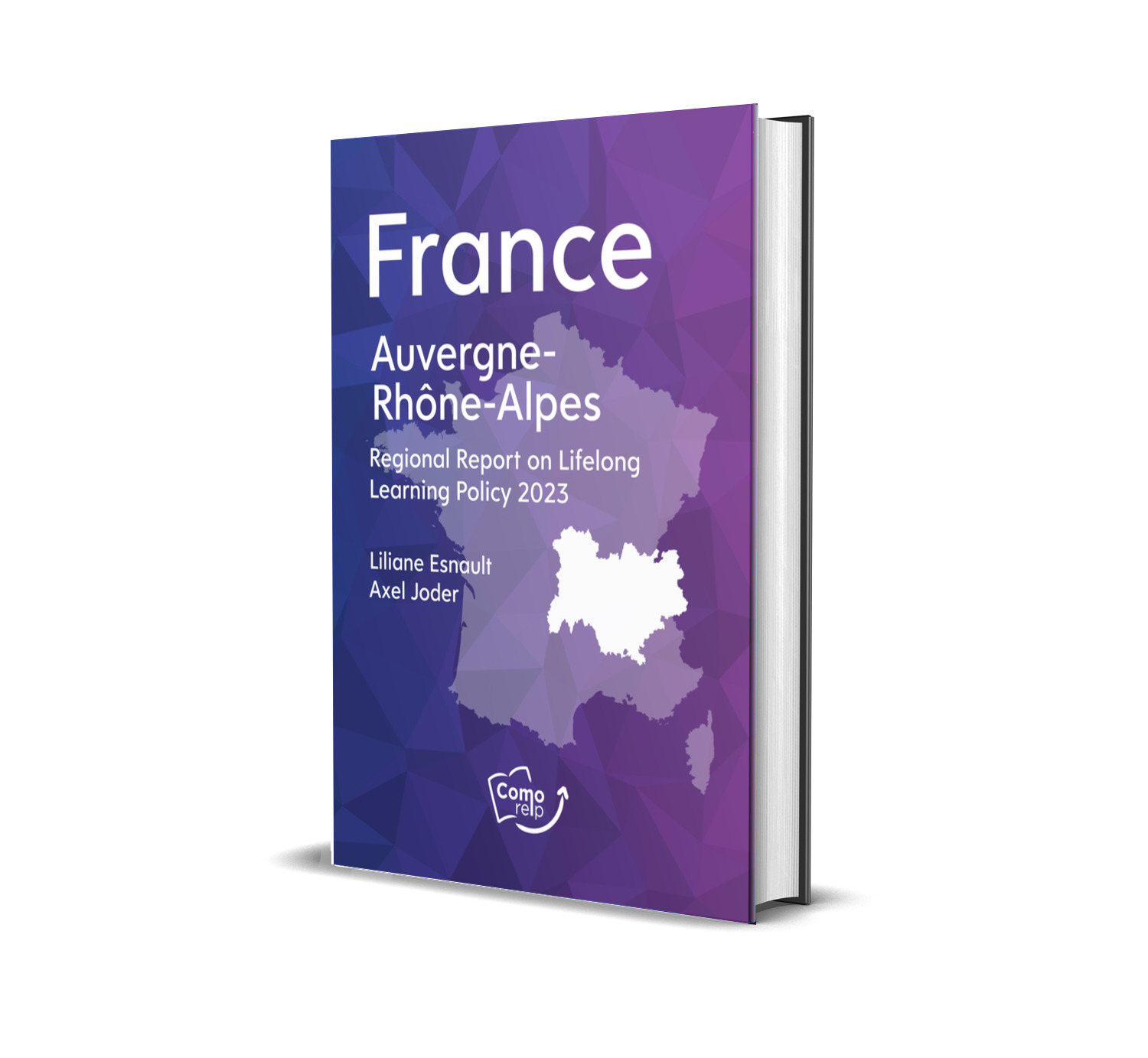 Lifelong Learning Policy in Auvergne-Rhône-Alpes